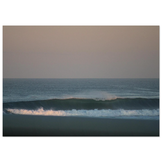 d317dc67-9f15-4f76-8c56-bf88958fb5ed