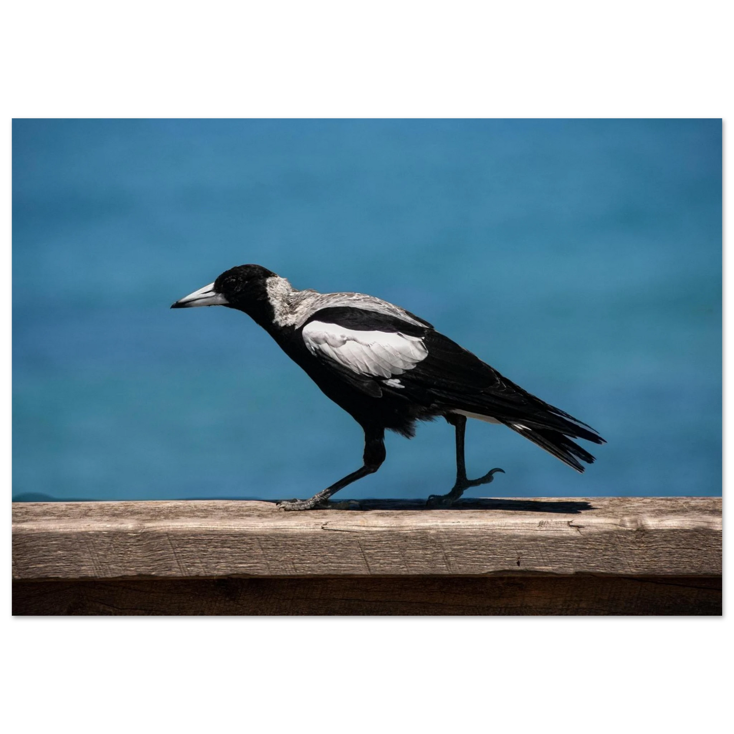 d73798e4-00b1-4822-9532-38f6e3090eea