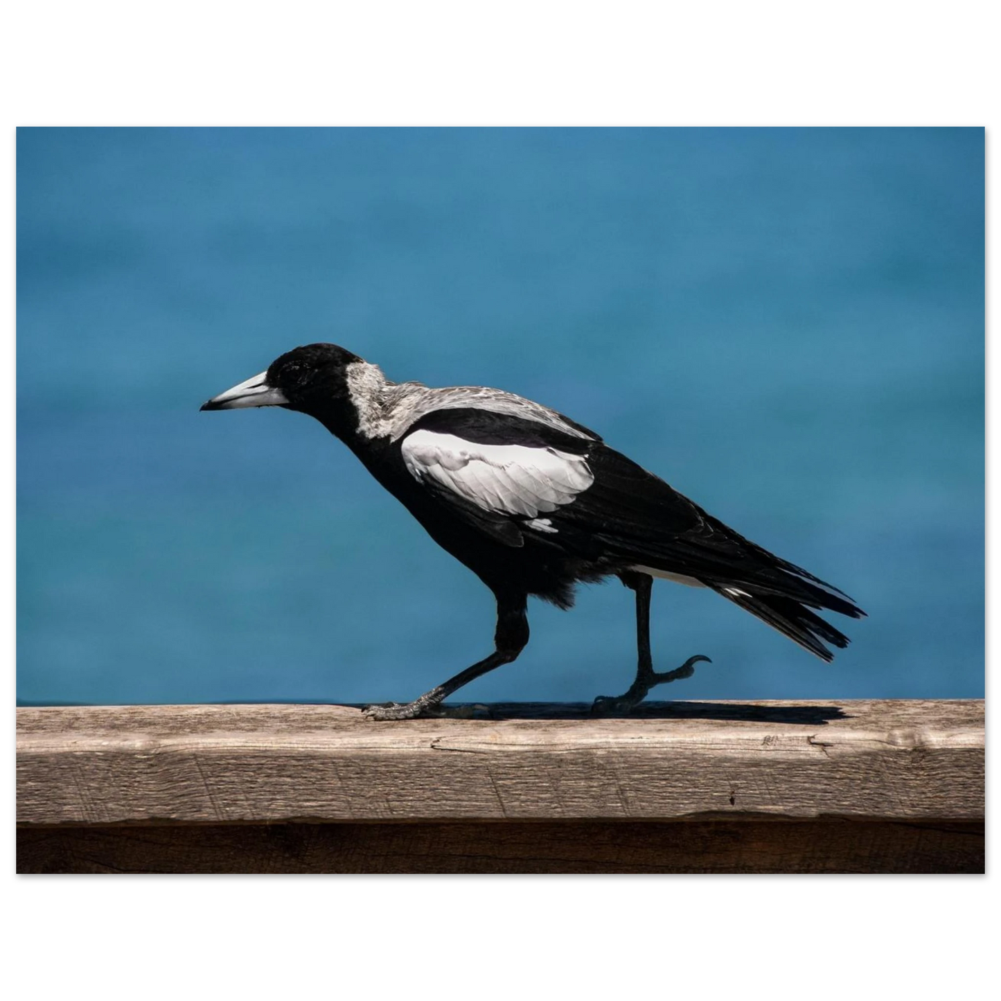d7549878-c7bd-4ab5-b891-721871ab4421