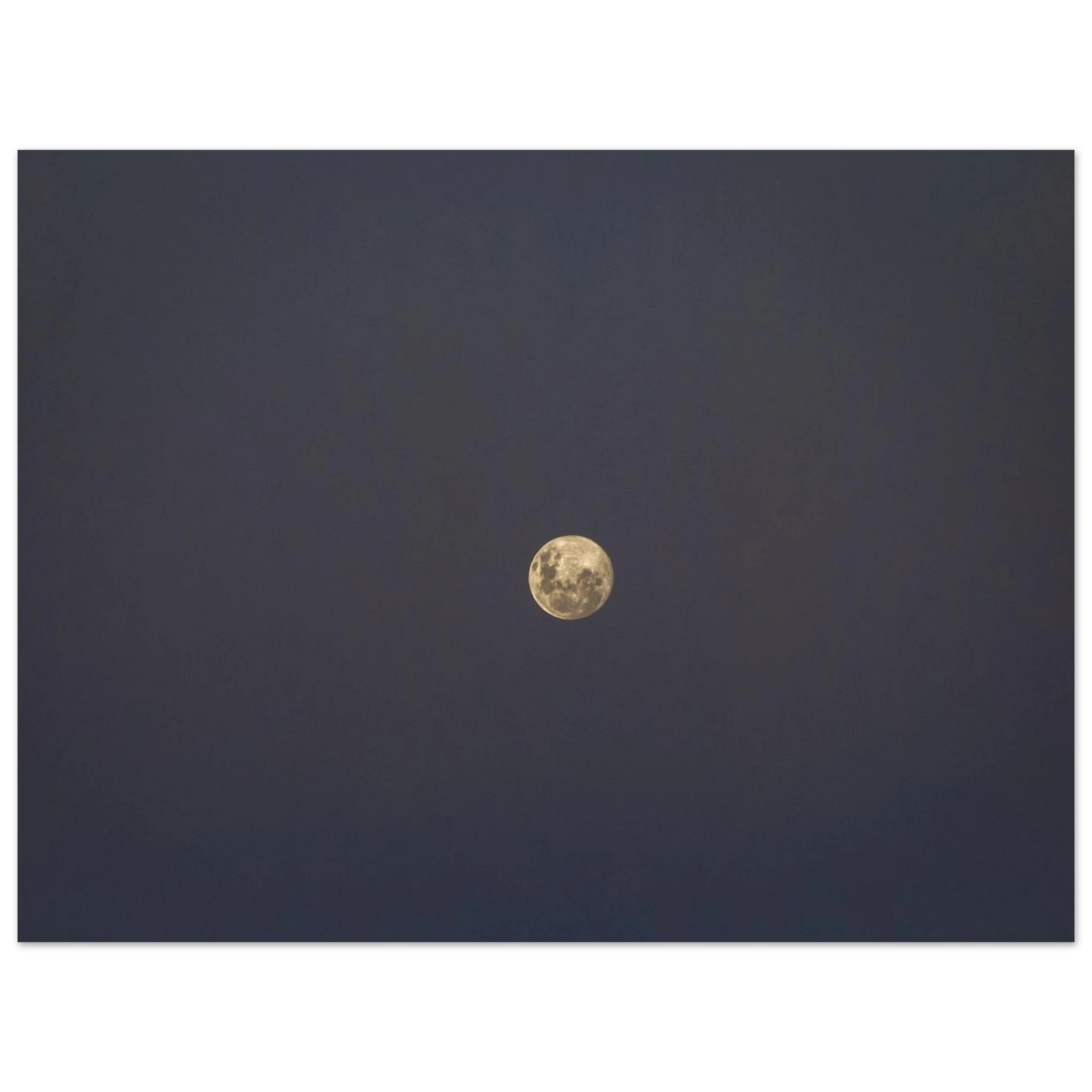 e48892a7-c9c0-46d3-8aef-4940830798db