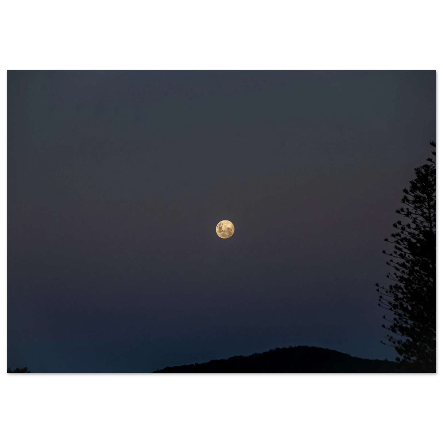 eb7bda75-d346-40e8-953c-3dabad0b7861