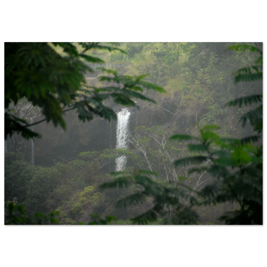 eee31e51-455f-4875-990b-d599e5635dce