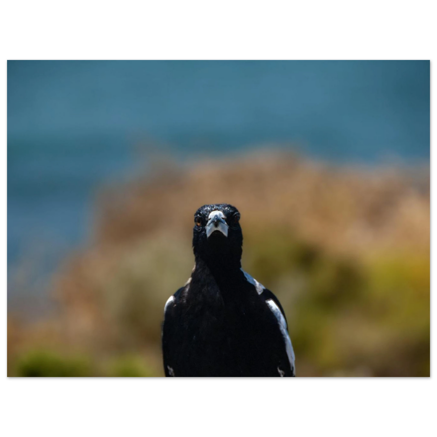 f0f80575-53b1-4353-a90e-0193fad4e15d