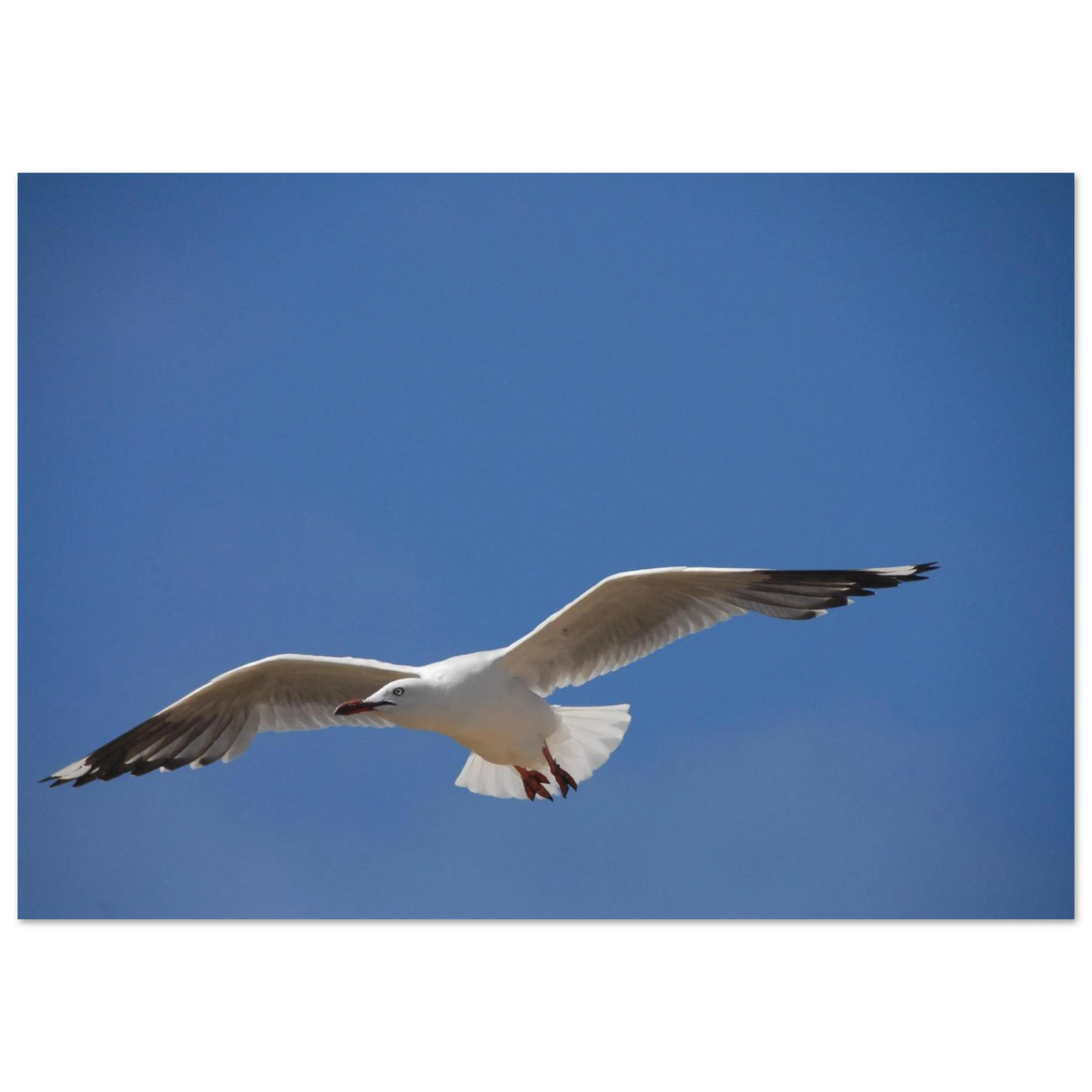 fa2b8f7c-3607-48b0-819e-ca2116e67124